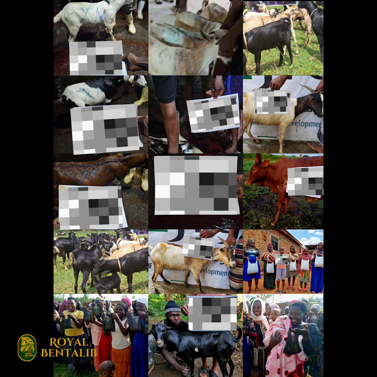Qurban Syifa | Sri Lanka