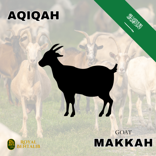 Aqiqah | Makkah