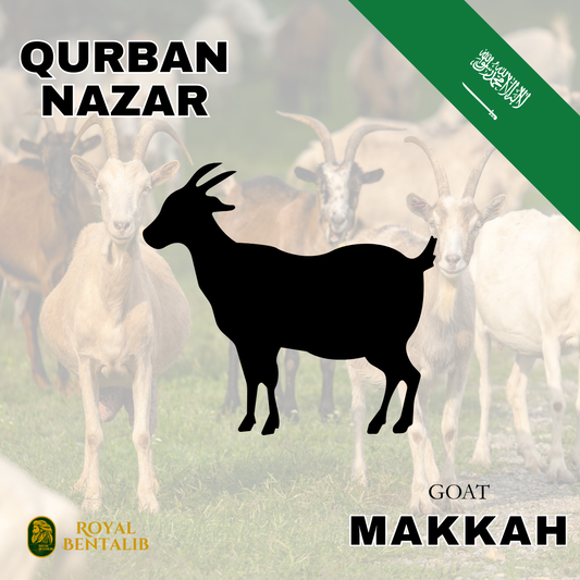 Qurban Nazar | Makkah