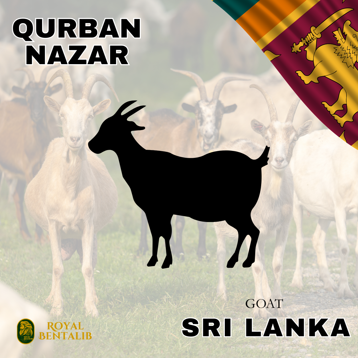 Qurban Nazar | Sri Lanka