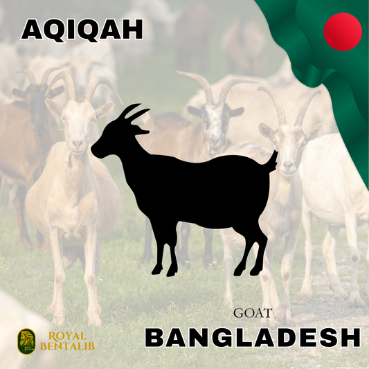 Aqiqah | Bangladesh