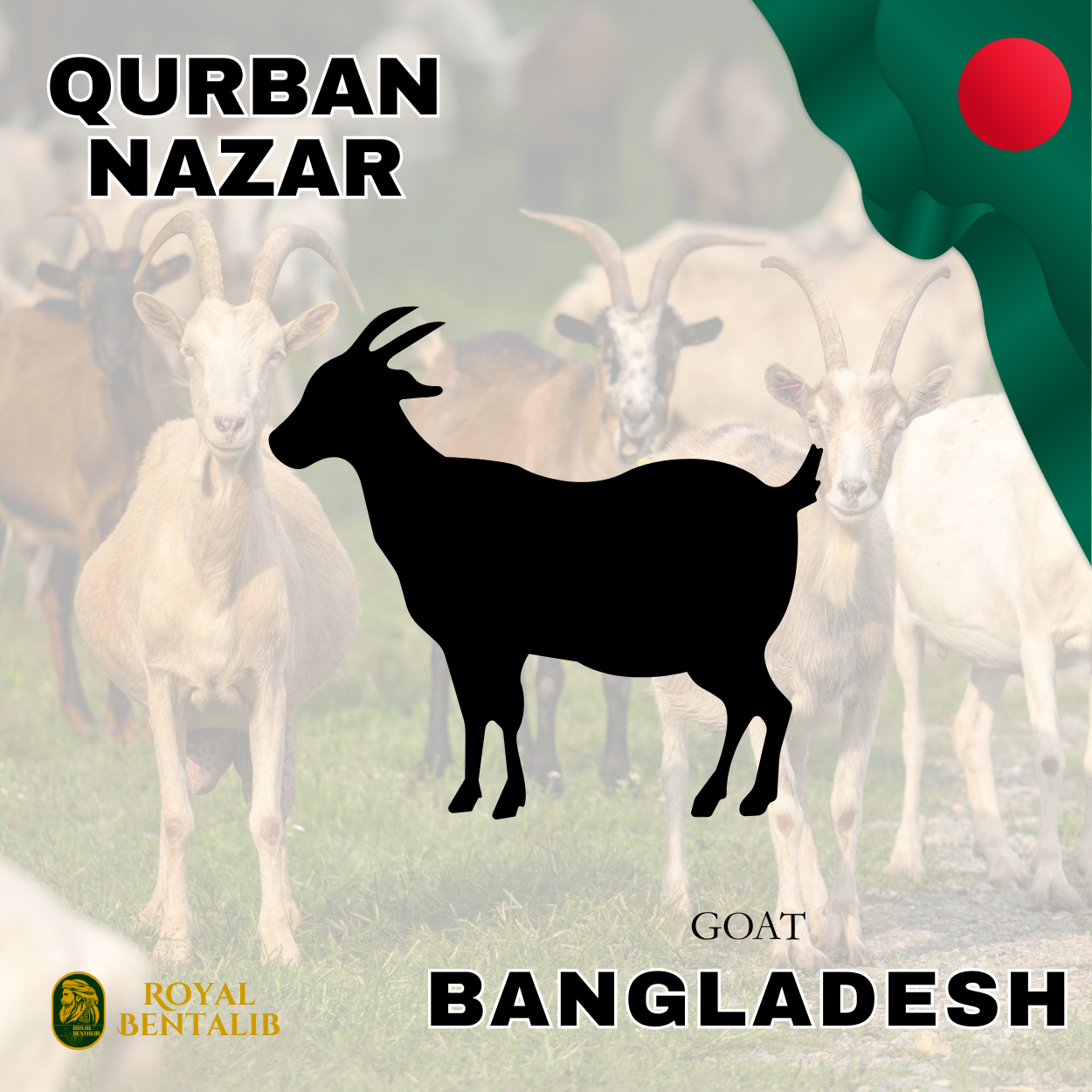 Qurban Nazar | Bangladesh
