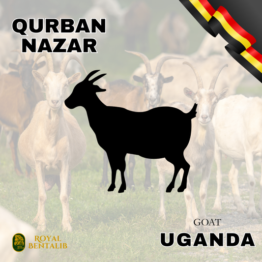 Qurban Nazar | Uganda